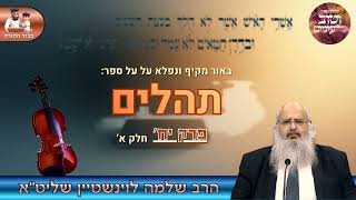 באור מרתק ומקיף על ספר ''תהלים'' - פרק יז' (חלק א')🎻 הרב שלמה לוינשטיין שליט''א (הרב שלמה לוינשטיין) - התמונה מוצגת ישירות מתוך אתר האינטרנט יוטיוב. זכויות היוצרים בתמונה שייכות ליוצרה. קישור קרדיט למקור התוכן נמצא בתוך דף הסרטון