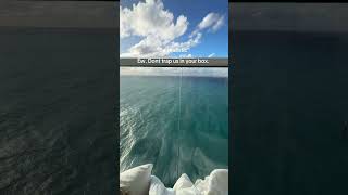 Life is meant to be WHIMSICAL 🤩 #whimsical #traveltok #cruisetok #toddlertravel #familytravel