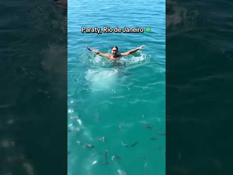 Dicas de viagem sobre as ilhas de Paraty, Rio de Janeiro 🌊🇧🇷 #fyp #foryoupage