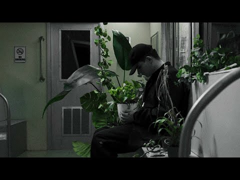 Video thumbnail for STREET GARDEN