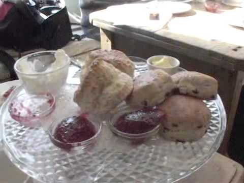 ELC Brighton - Social Programme