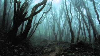 Agalloch - Birth and death of the pillars of creation