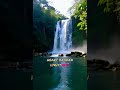 Waareya Song Lofi Songs Sad Songs Shorts Sorts