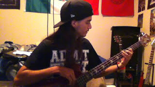 Scream Out (Bass Cover)