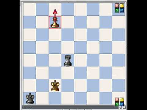 Instructive Endgame 20 Saavedra Position!.avi