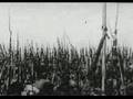 All We Have is Now - The Flaming lips