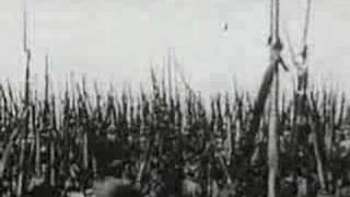 All We Have is Now - The Flaming lips