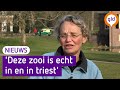Verpleegkundige Maria ruimt Park Zypendaal op na nachtdienst