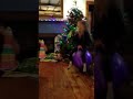 Christmas Morning Bouncy Balls