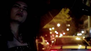 Trampled by Turtles "Wild Animals"- Official Video