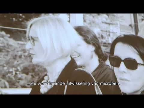 Xenobodies in Mutation TETEM