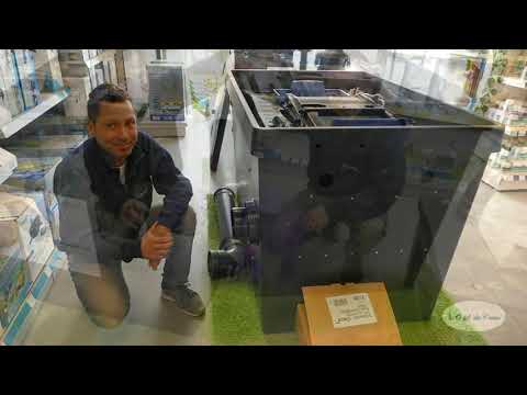 Watch Video on YouTube