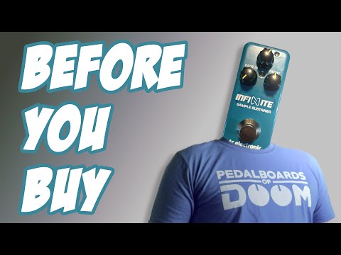 TC Electronic Mini Infinite - Before You Buy