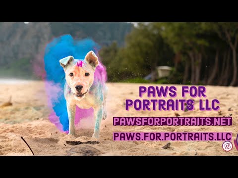 Powder Paint Photoshoot with Dogs