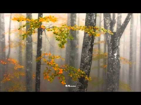 Dés László - Legyen úgy (2010-02-21) HQ + lyrics