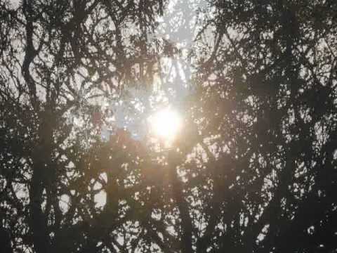 Song for SOL