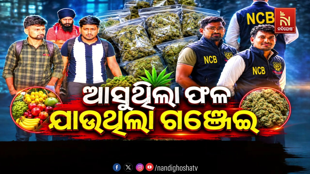 🔴Live | ଆସୁଥିଲା ଫଳ, ଯାଉଥିଲା ଗଞ୍ଜେଇ
