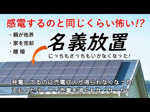 月光と太陽光に対する特別な神経