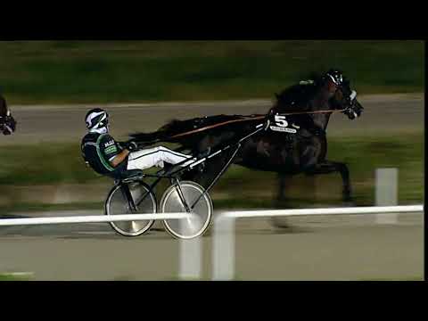 Napoli Trotto 07/07/2023 - 5ª corsa