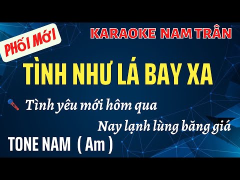 Karaoke Tình Như Lá Bay Xa Tone Nam | Nam Trân
