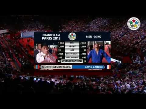 IJF JUDO GRAND SLAM PARIS 2013 MEN -66KG FINAL