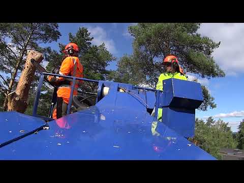 Paritanssia nostokorissa