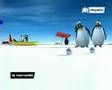 Pigloo:Le ragga des pingouins 