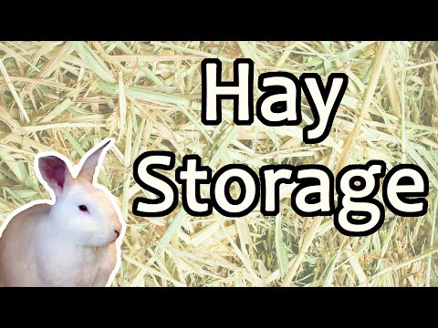 YouTube video about: How to store hay for rabbits?