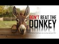 Don T Beat The Donkey