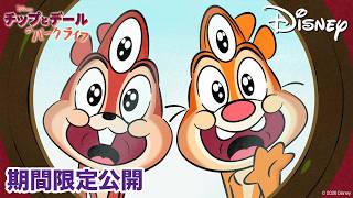 【期間限定無料公開】チップとデールのパークライフ | スパイの目 / アヒルの羽根の集め方 / ナッツとドラゴン