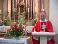 Don Mato Aračić Pupnat 40 Godina Misništva