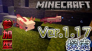 【Minecraft】集会所建設【生ゴミ鯖】