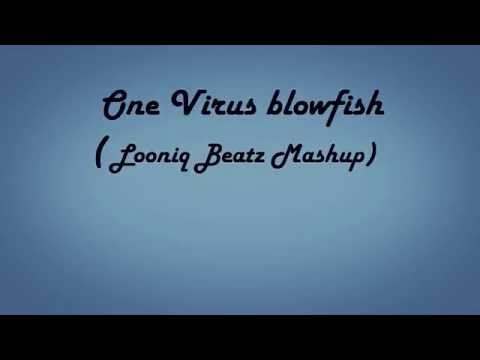 Looniq Beatz - One Virus Blowfish (Mashup)