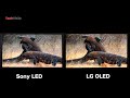 LG OLED vs Sony LED 4K HDR TV - Image Quality (After Calibration)