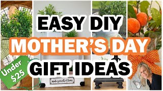 Diy Mothers Day Gifts That She Will Love / Under $25 / Budget Friendly