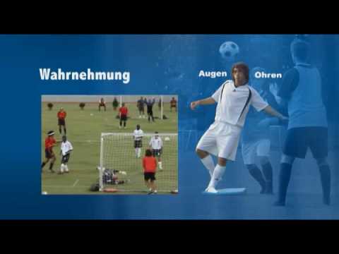 Videoseminar: Wahrnehmung und Gleichgewicht im Sport