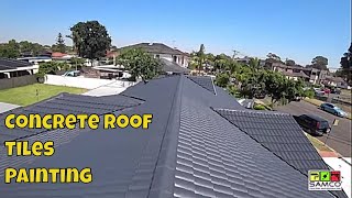 Concrete Roof Tiles  Painting 2020