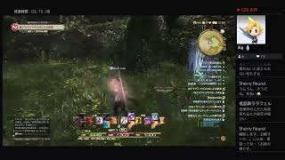 [FFXIV]FF14復帰勢の手探りファンタジー（助け求む）