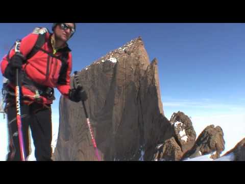 Holtanna Antarctique 1