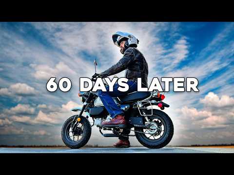 800 Miles on a Monkey Bike - First Impressions of this mini motorcycle