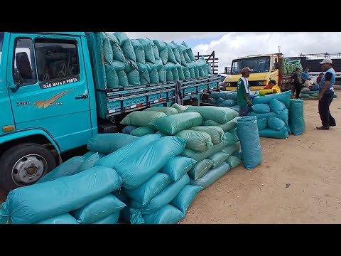 FEIRA DE PORTEIRAS SILO SAL EM CAPOEIRAS PERNAMBUCO 06 de março de 2026