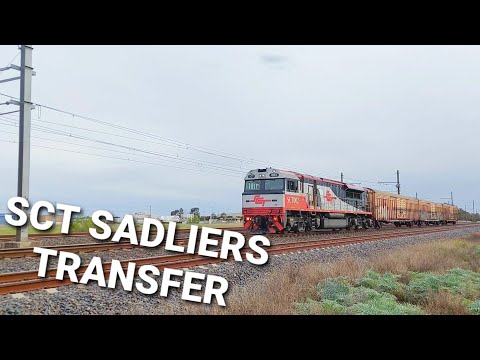 SCT Sadliers Transfer At Altona!!!