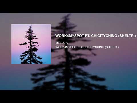 WORK4MYSPOT - FT. CHICITYCHINO (SHELTR.)