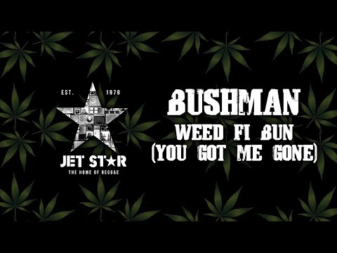 Bushman - Weed Fi Bun (You Got Me Gone) (Official Audio) | Jet Star Music