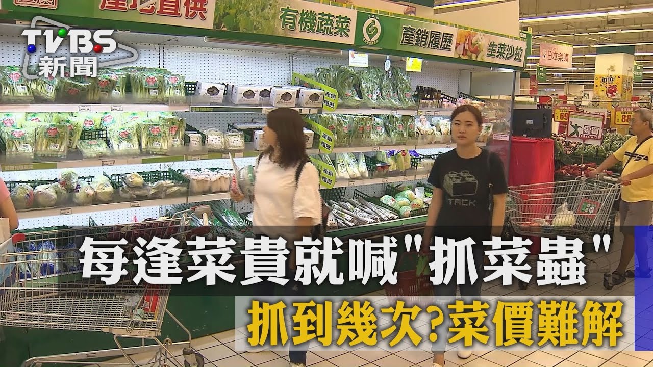 抓到幾次？每逢菜貴就喊「抓菜蟲」　菜價難解