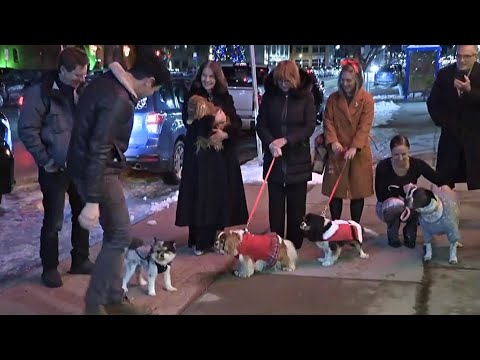 Behind the Camera at "A Royal Christmas Tail" Screening at the North Park Theater in Buffalo