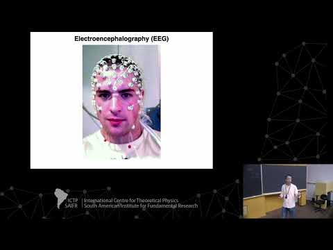 Mauro Copelli: Brain criticality - Class 4