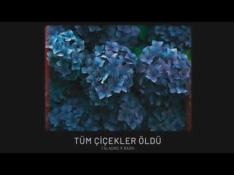 Taladro & Rash - Tüm Çiçekler Öldü (Official Video)