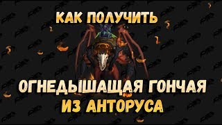 Как получить или Где падает маунт Огнедышащая гончая из Анторуса wow