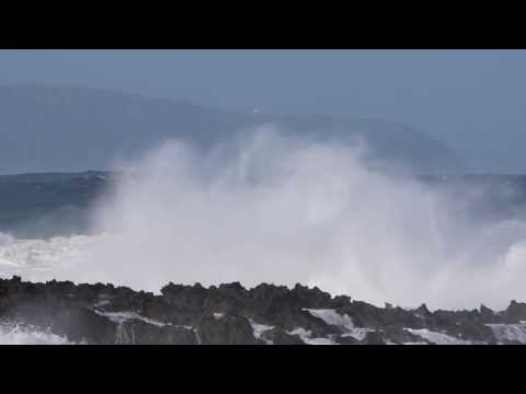 Mega Swell 1-22-14